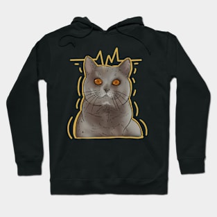 Shocked cat Hoodie